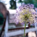Hochzeitsfotograf-Bremen-Brautpaarshooting-25